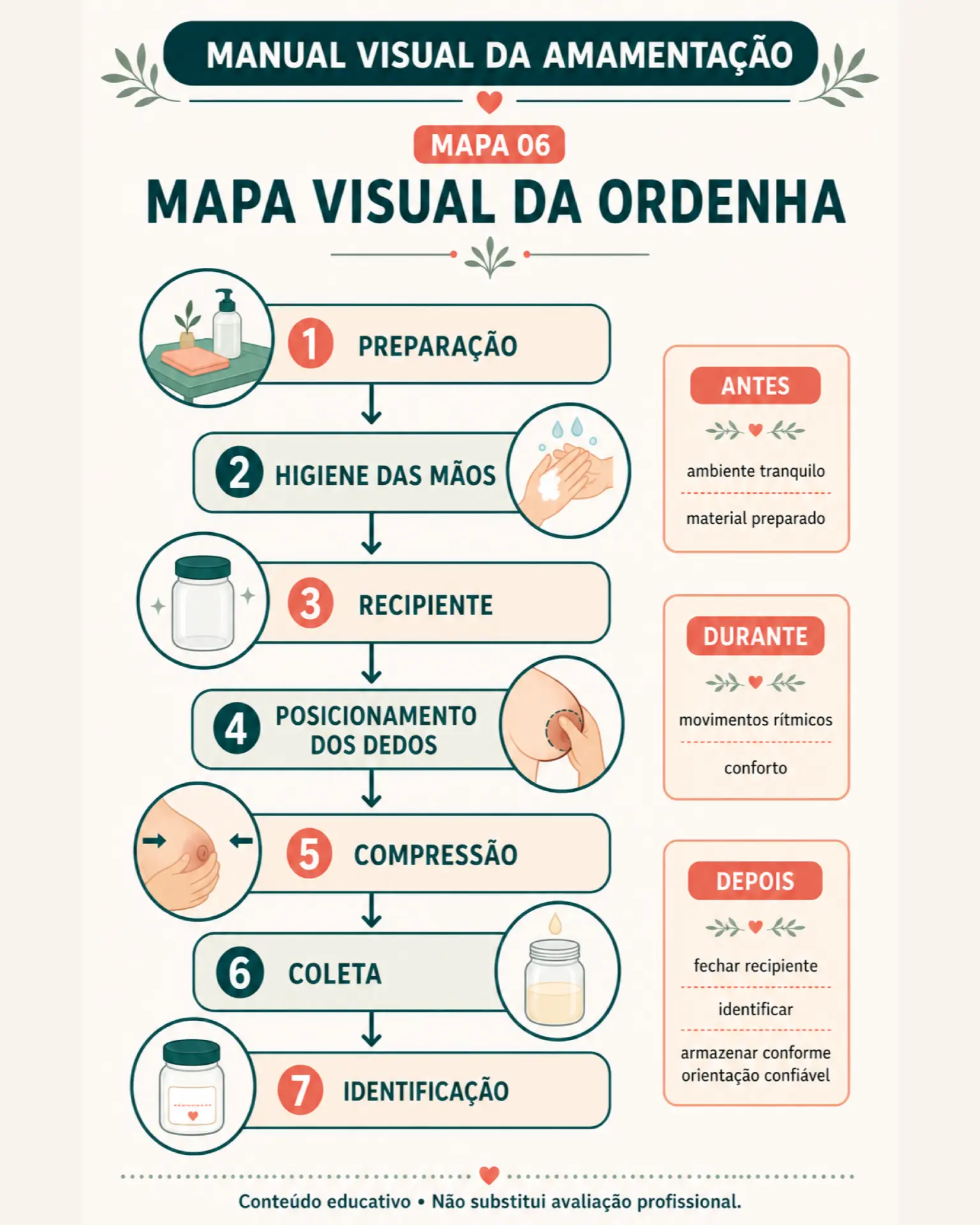 Mapa mental: ordenha