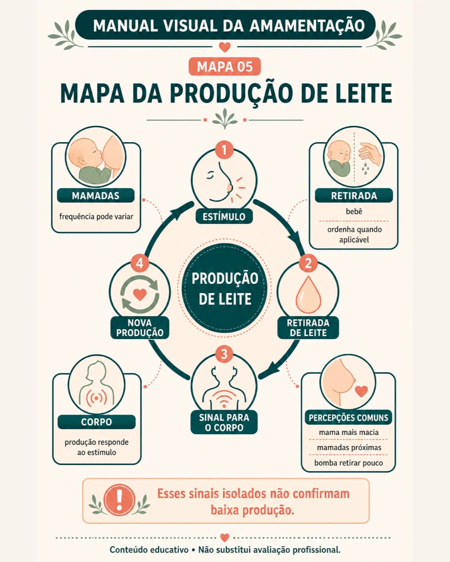 Mapa mental: produção de leite